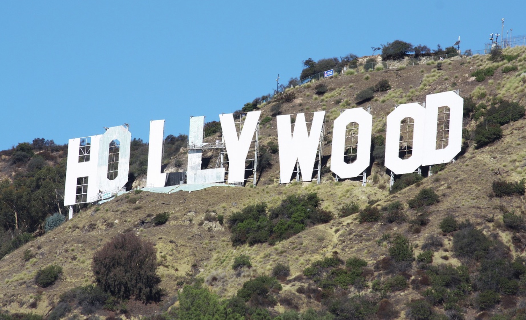Entertainment Industry