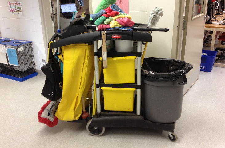 Janitors and cleaners
