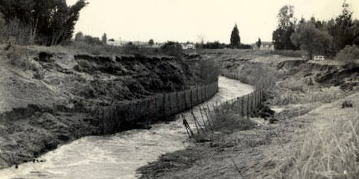 A creative awakening