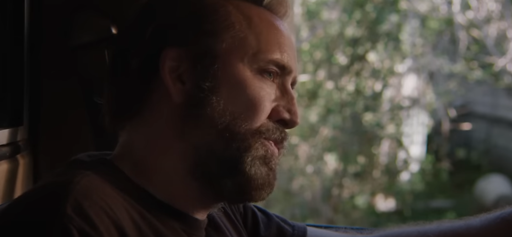 Joe