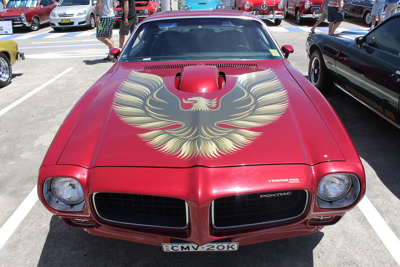 1973 Trans Am