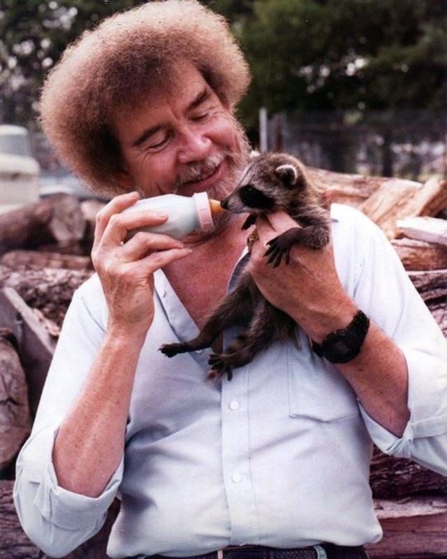 Bob Ross and His Gentle Positivity