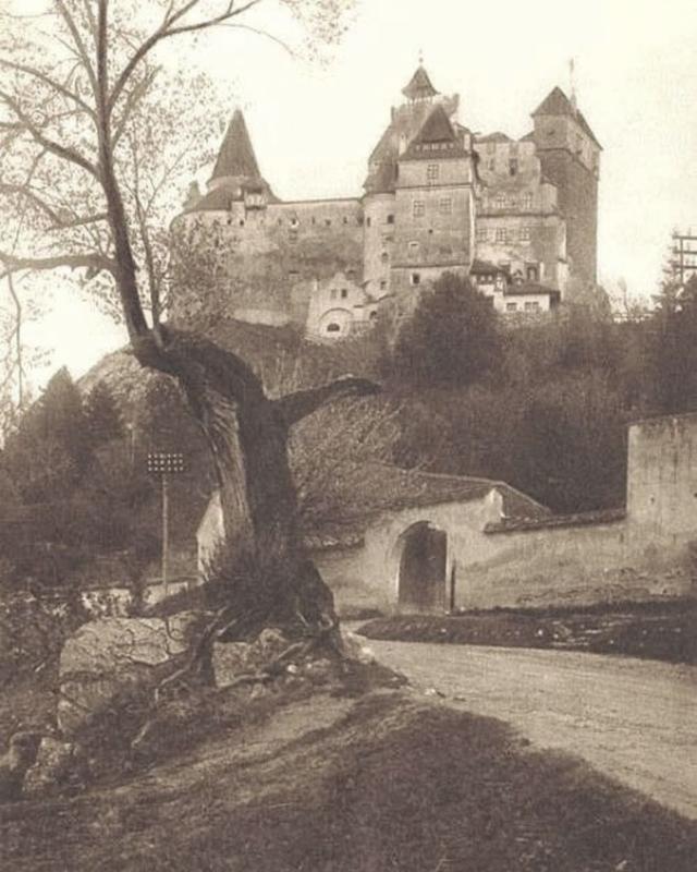 The Lonely Castle