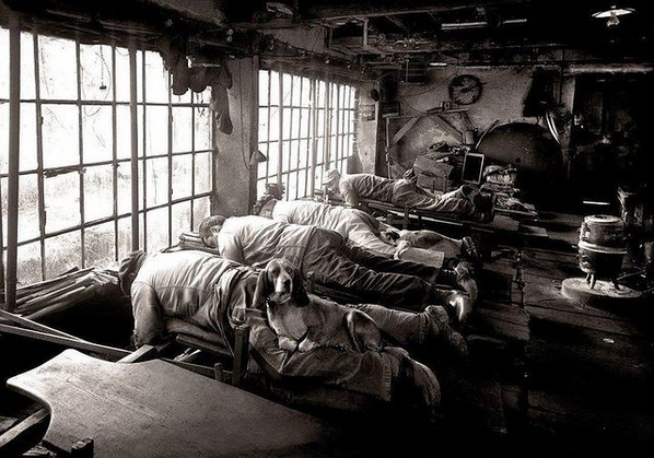 Workers Sleeping in a Workshop with a Dog