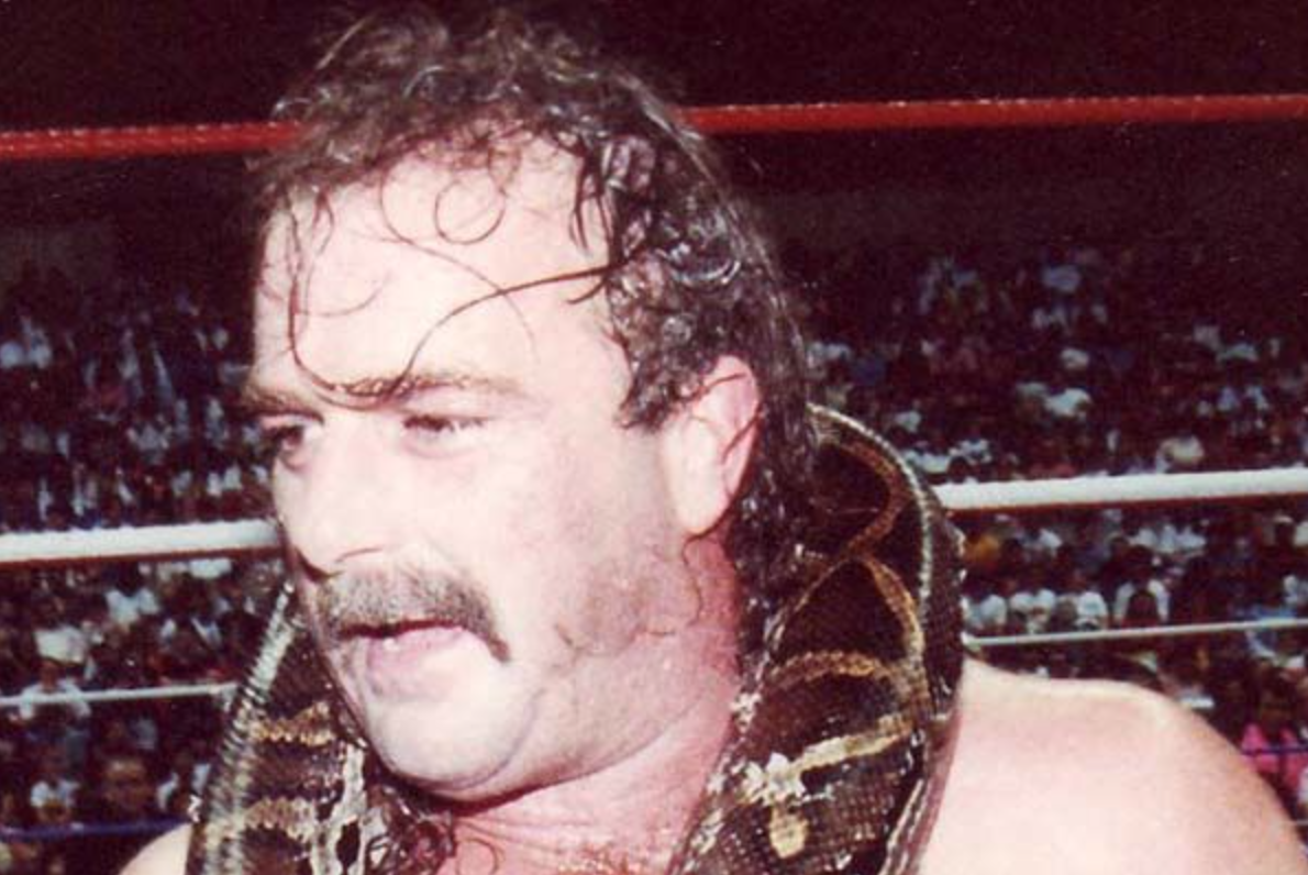 Jake The Snake Roberts