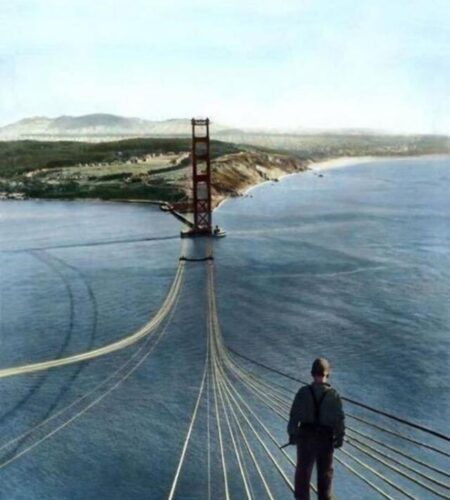 The Golden Gate’s Guardian