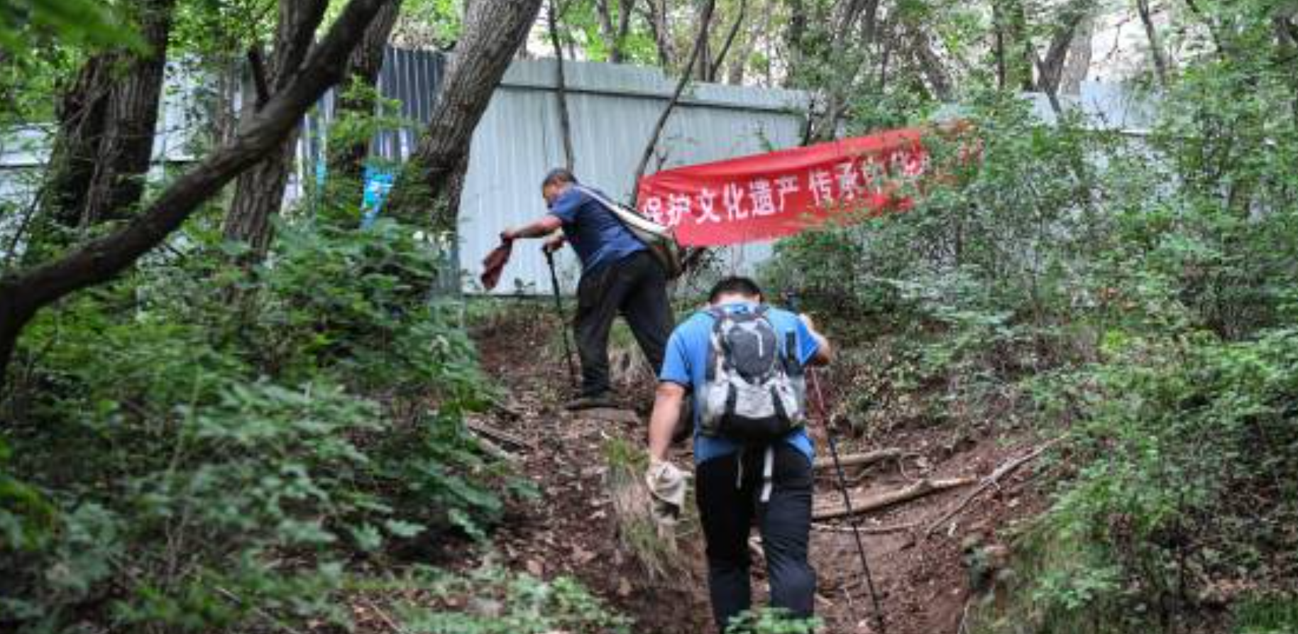 Newly discovered specimens