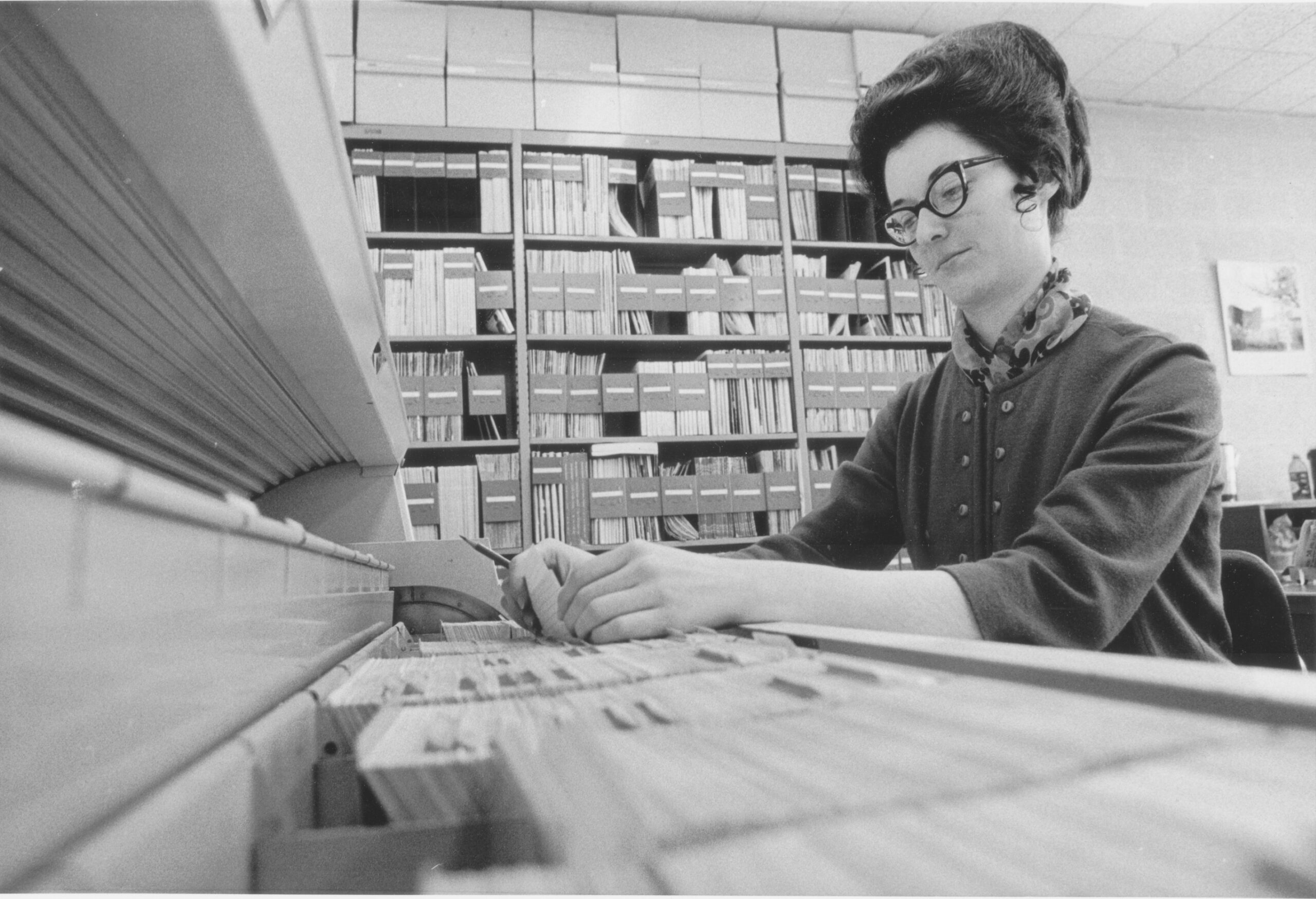 Librarian - Guardians of Knowledge