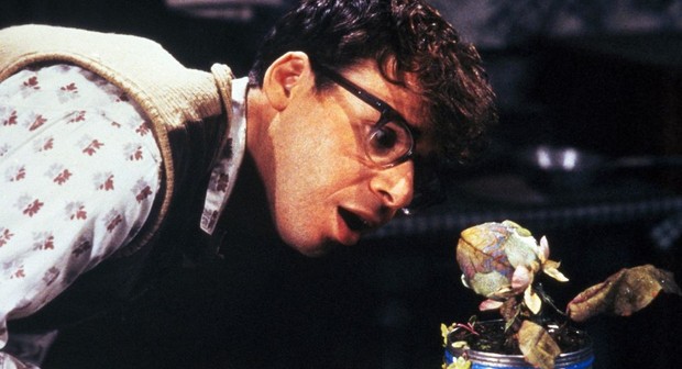 Who remembers the movie Little Shop of Horrors?