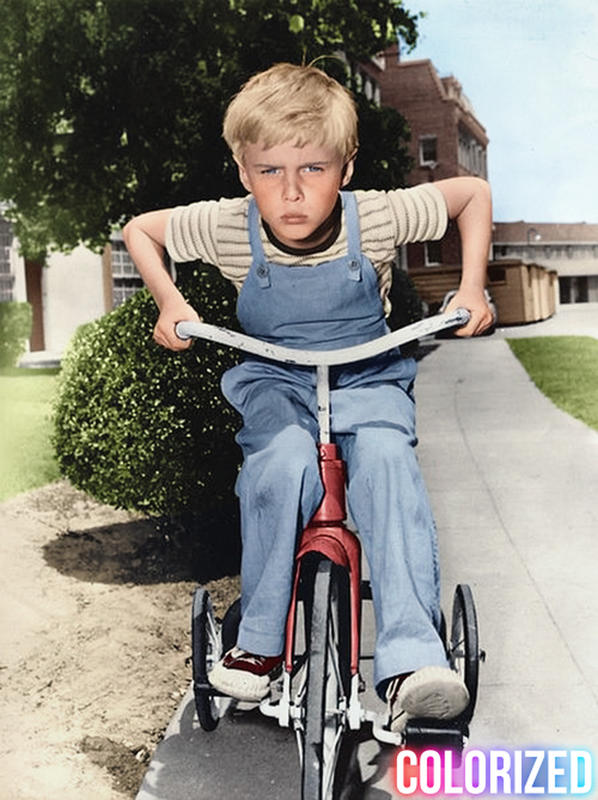 Gee Whiz! Dennis the Menace Star Jay North Went On To Work With Juvenile Delinquents