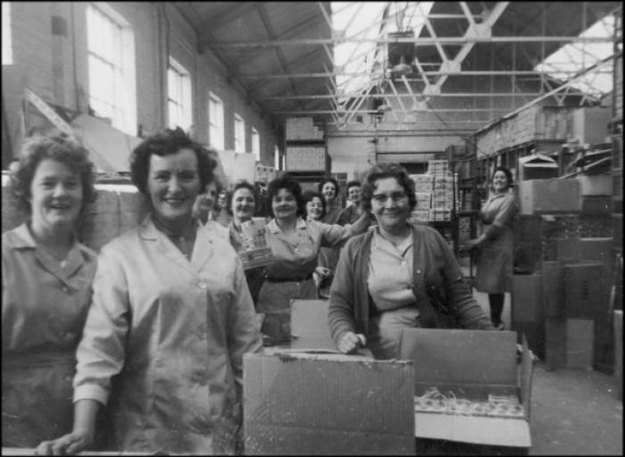 Factory Worker - Assembly Line to Success 